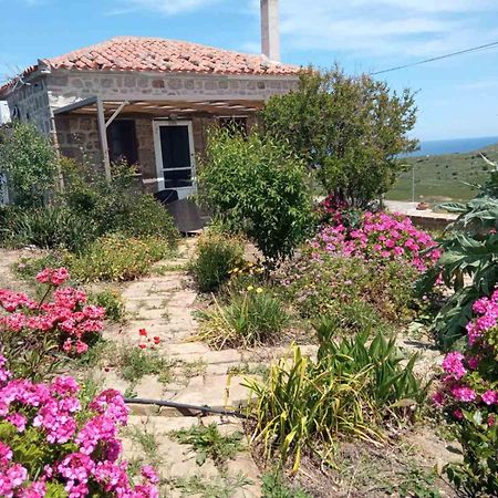 Appartement Cozy House With Amazing Sea View à Kaminia  Extérieur photo
