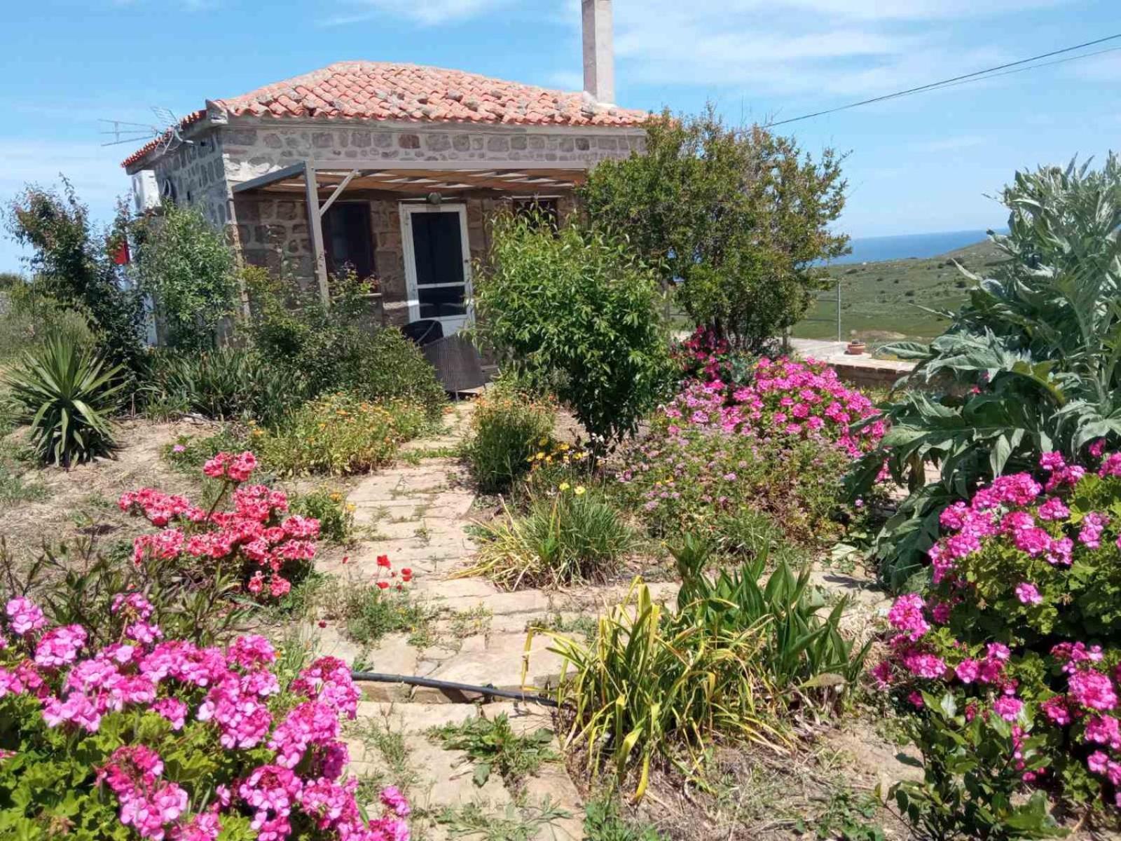 Appartement Cozy House With Amazing Sea View à Kaminia  Extérieur photo